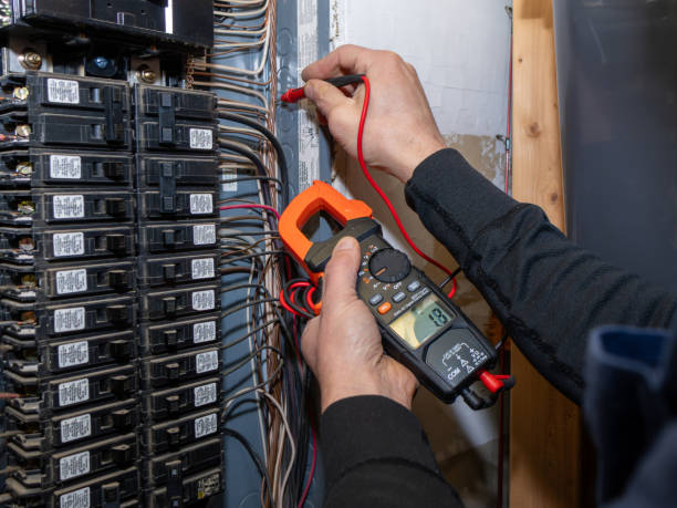 Best Electric Panel Repair  in Royal Kunia, HI